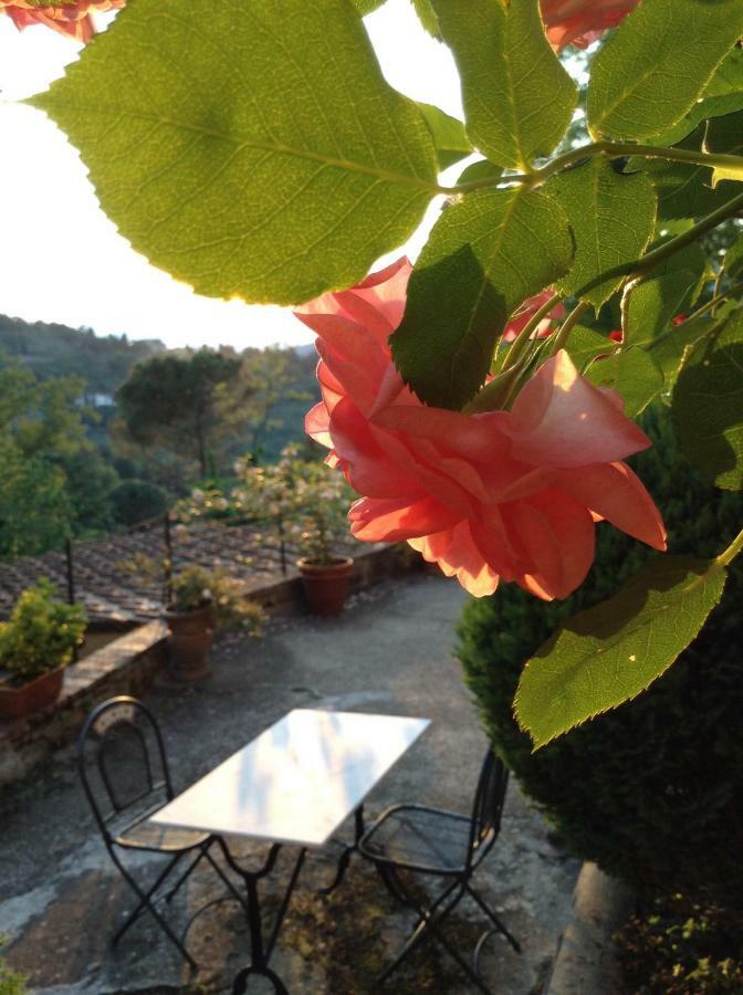 Fiesole In Giardino B&B Buitenkant foto